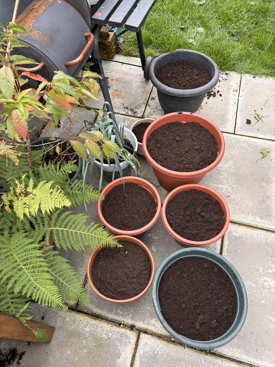 AlwaysComputing's tweet image. It’s bulb planting day! 🌷