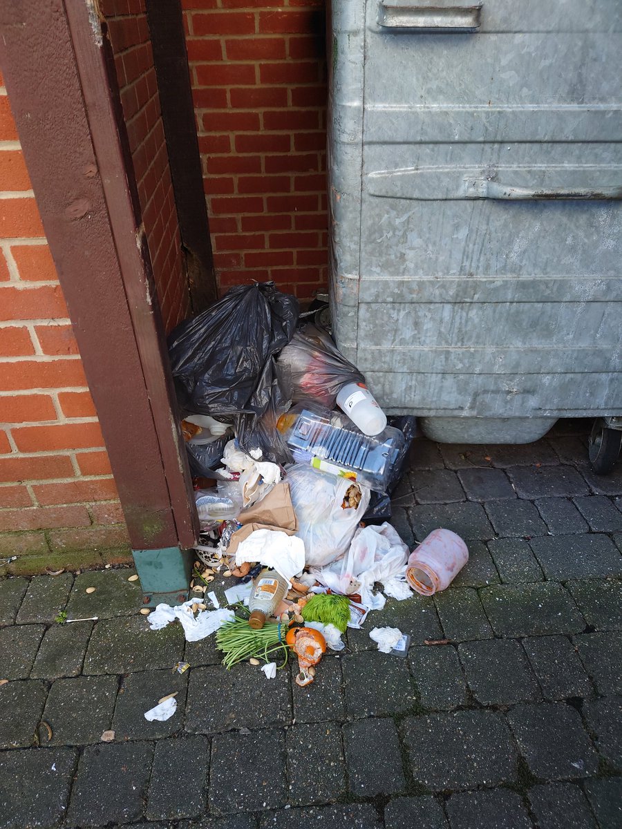RobboSmart's tweet image. Please could this be cleared up , it's an emergency and a health issue and rats plus foxes will make it worse. It's an environmental issue. These people who live in this block don't have any pride and need to be told.
Thanks so much