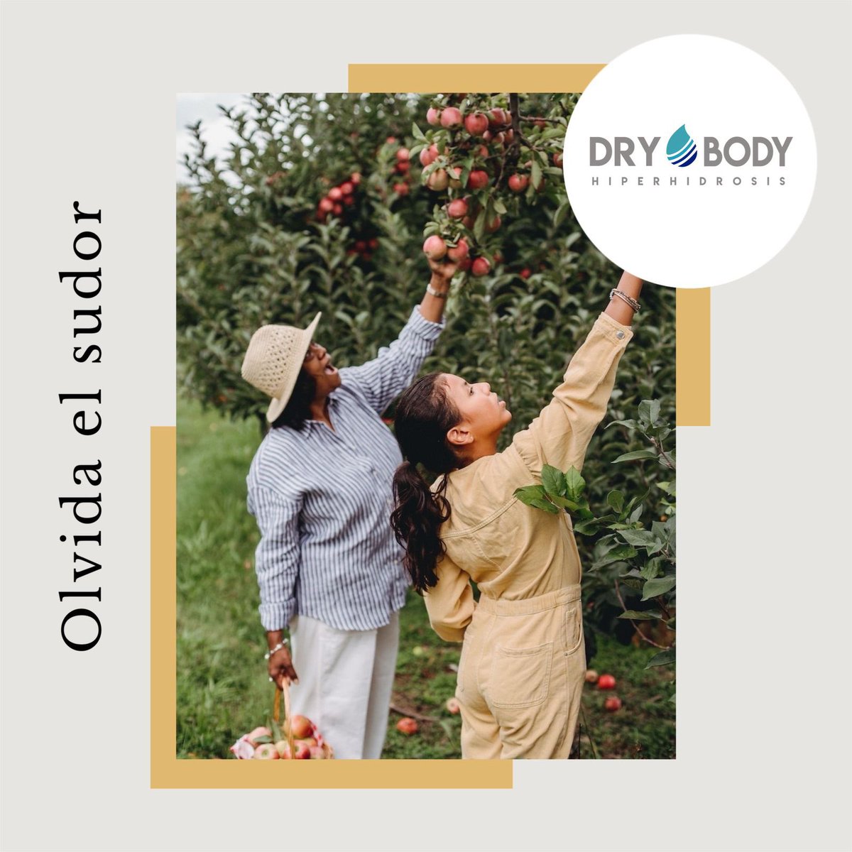 drybodymx's tweet photo. Somos el único centro que se dedica exclusivamente a tratar la sudoración excesiva en todo el país.
Estamos en Piedras Negras Coahuila 
Mándanos wapp agenda tu cita.
📞8781388029
#olvidatedelsudor #PiedrasNegras #hiperhidrosis #iontoforesis https://t.co/TiN7pEAurg
