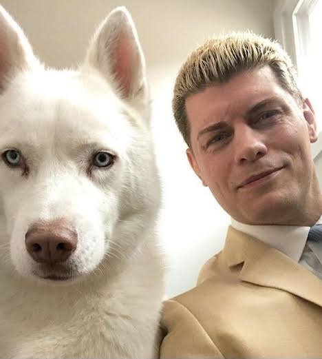 Enes Gönenç tweet media