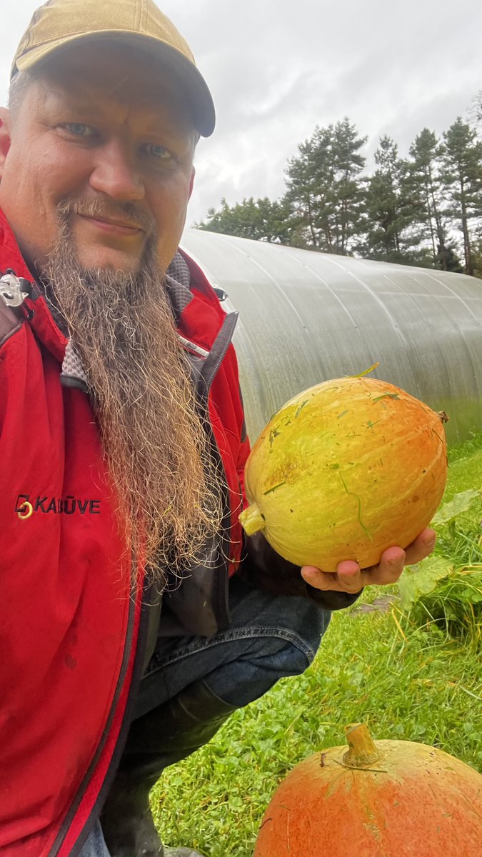 mednieks2's tweet photo. Rudenīgais #selfijs
Pļauju ķirbi un vācu zāli. https://t.co/DQ4RJa4DYy