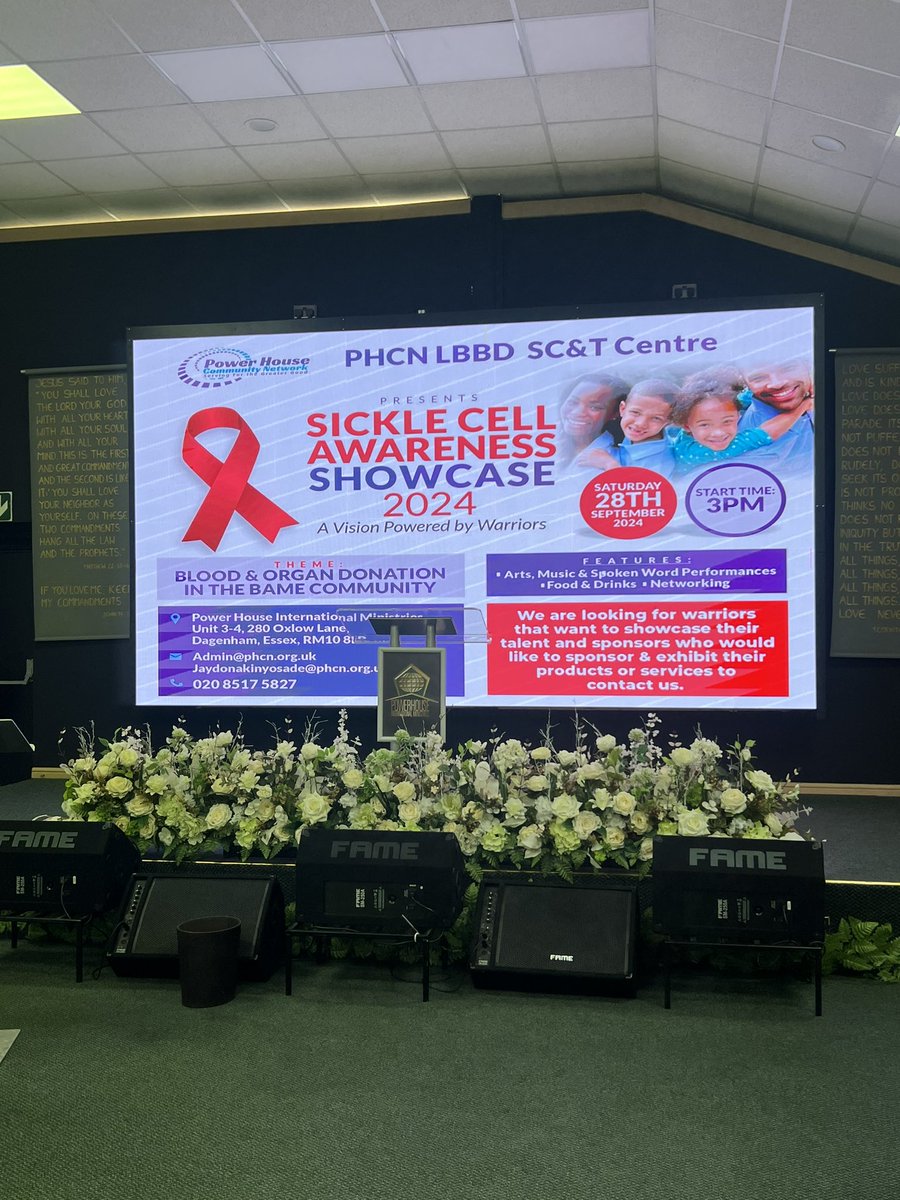 theresa😊 tweet media