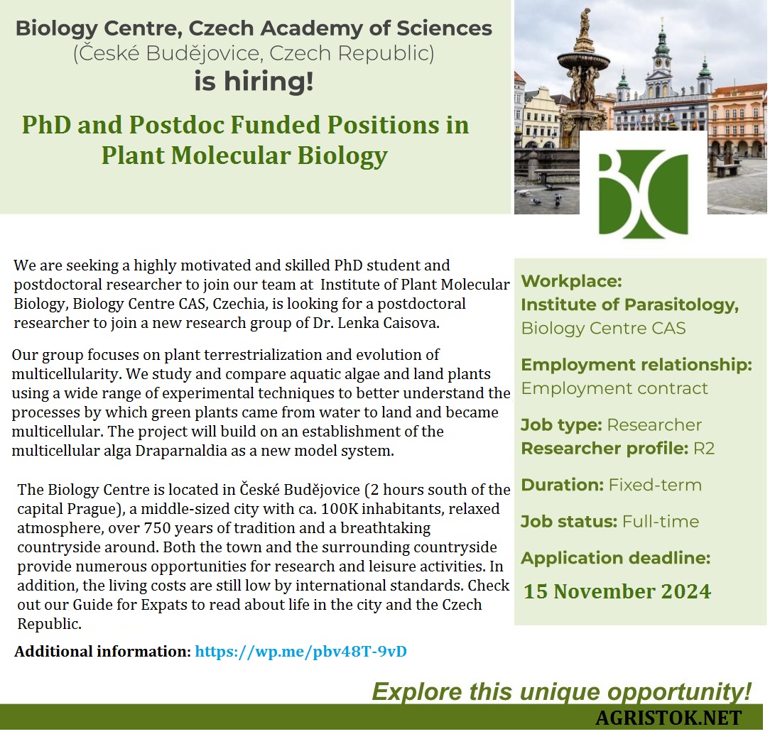 agristok's tweet photo. 📌 PhD and Postdoc Funded Positions in Plant Molecular Biology 🌱🧬 at the Institute of Plant Molecular Biology, Biology Centre in Czechia 🇨🇿... Please share and spread the word! For details visit: https://t.co/hwziNcmXPz