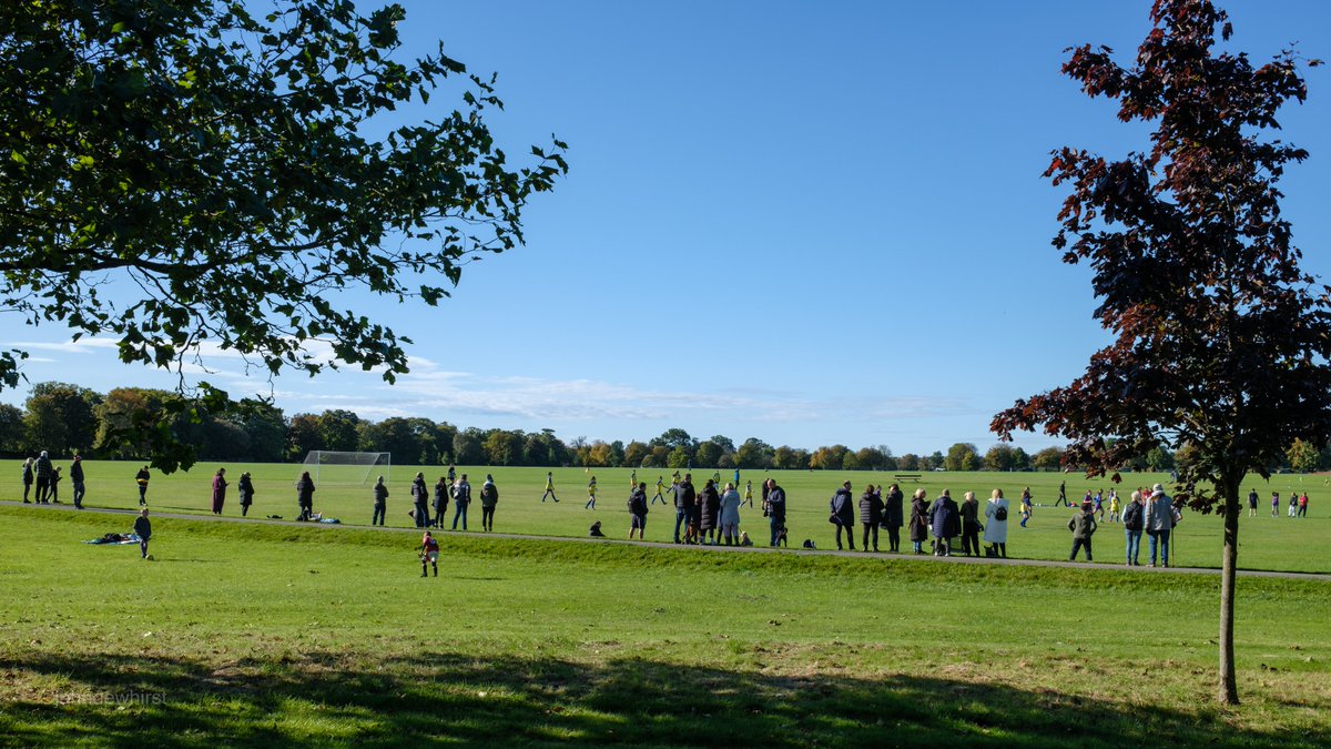 johndewhirst tweet media