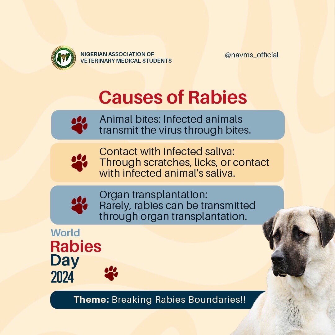 navms_official's tweet photo. Join the Fight Against Rabies!

Read, share, and spread awareness.
#Countdown to World Rabies Day, September28
#Navms #NavmsOfficial #Rabiesawareness #Worldrabiesday #Breakthechain
#Onehealth
#Zoonoticdisease https://t.co/p1UzRrpgua