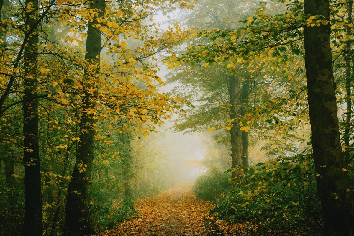 Daniel Casson tweet media