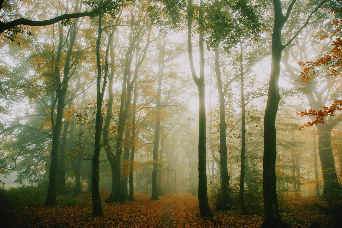 Daniel Casson tweet media