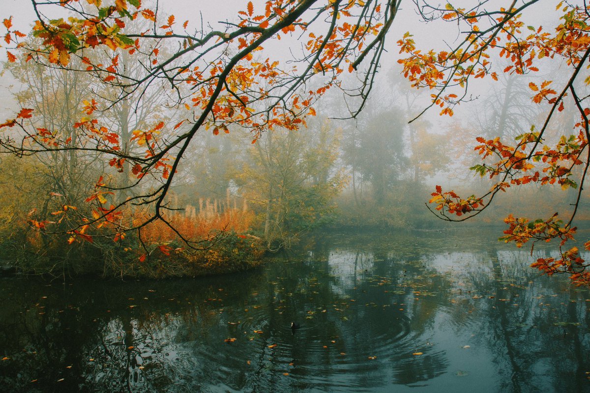 Daniel Casson tweet media
