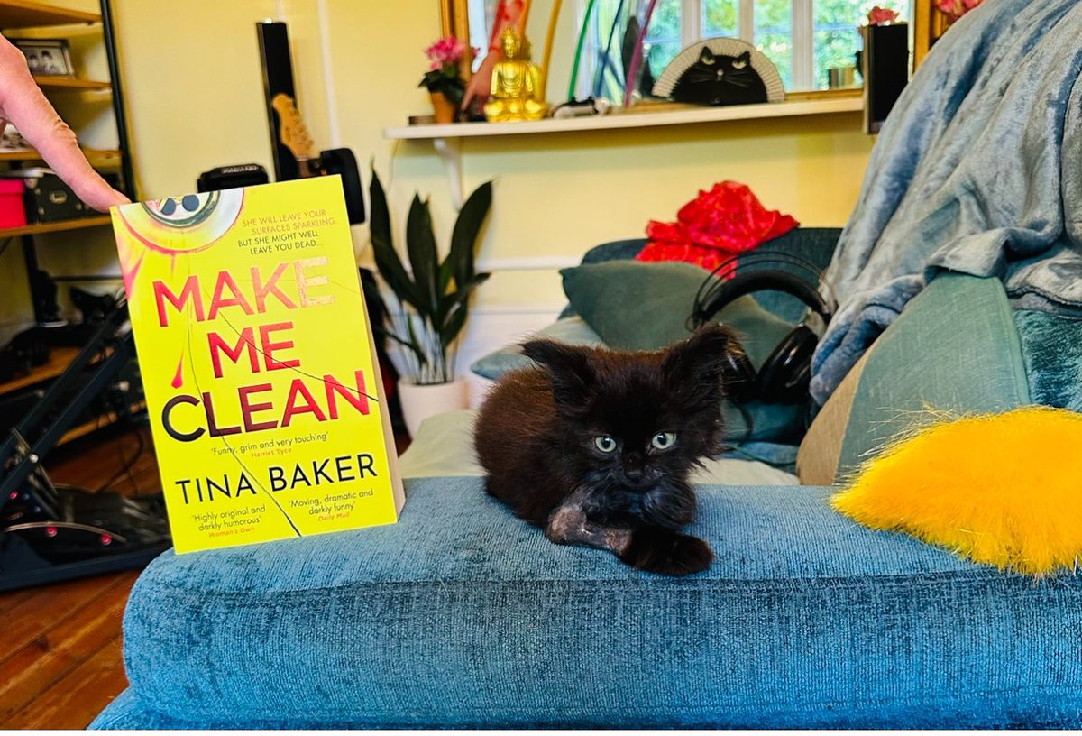 TinaBakerBooks's tweet photo. @allgoodbookshop #MakeMeClean contains 4 cats. The latest rescue kitten - pictured - is now thriving &amp; the size of a small panther. 💗🐾💗 https://t.co/JfpvNjo8ZJ