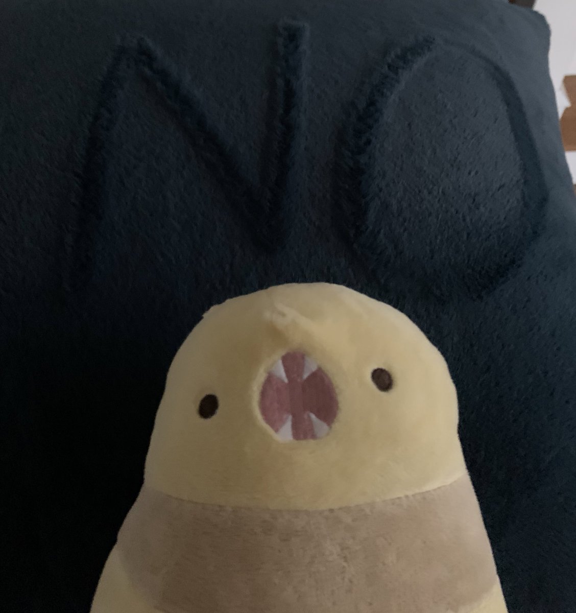 Pierogi decided to draw in one of the pillows. He claimed it to be art.
[A very raspy ‘scree’ comes from the serpent.]
This is his favorite word.