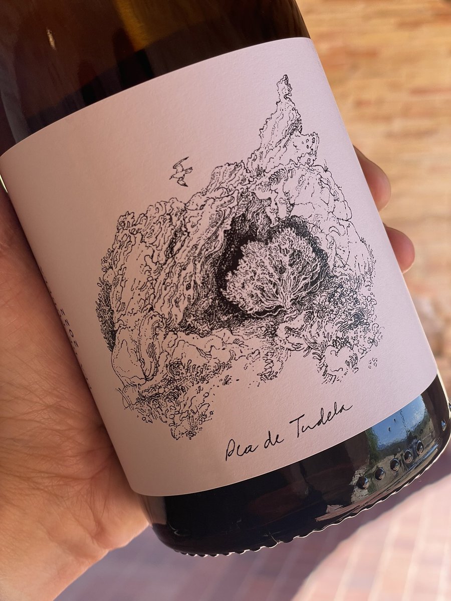 CarlesSelda tweet media