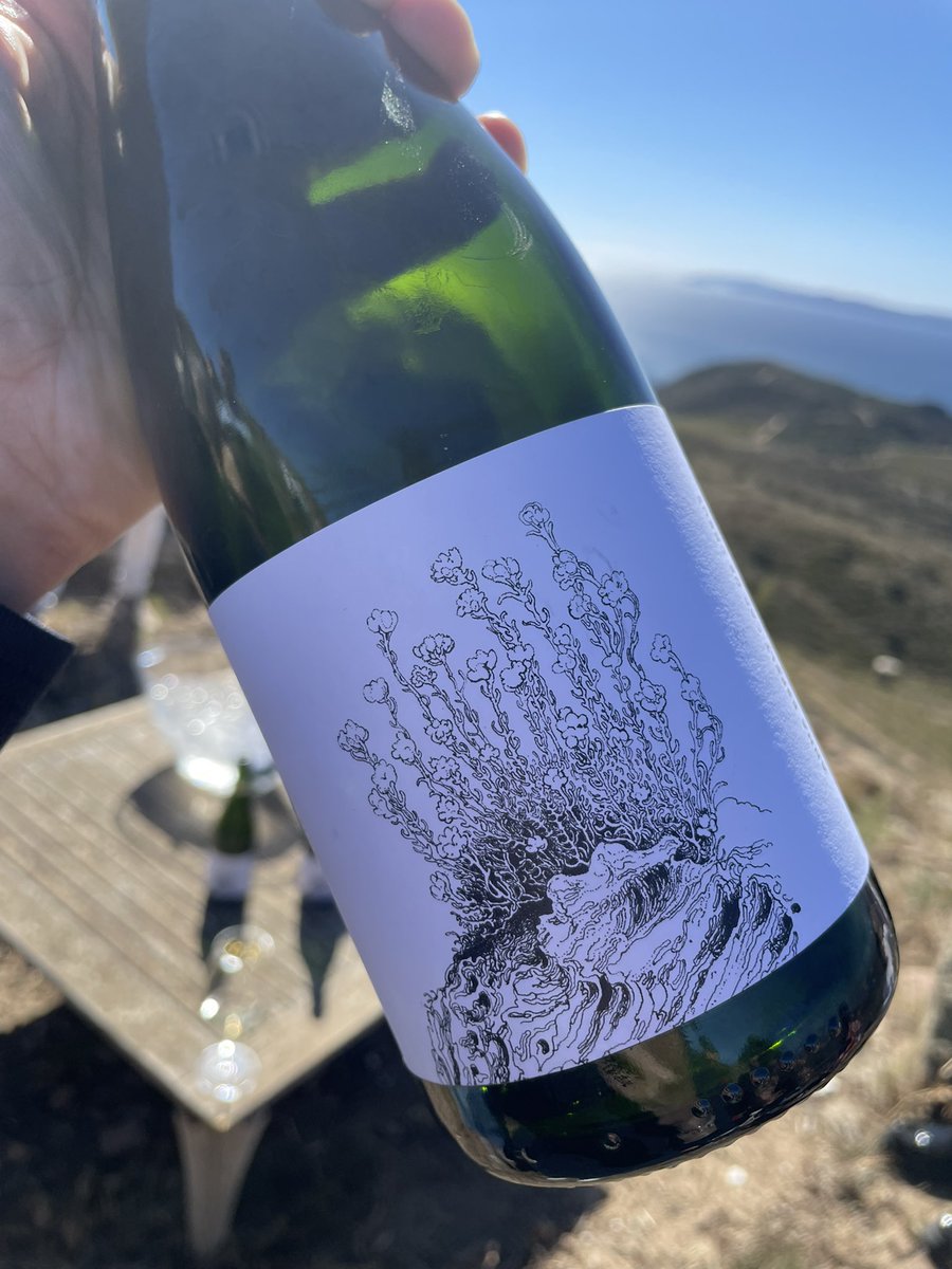 CarlesSelda tweet media