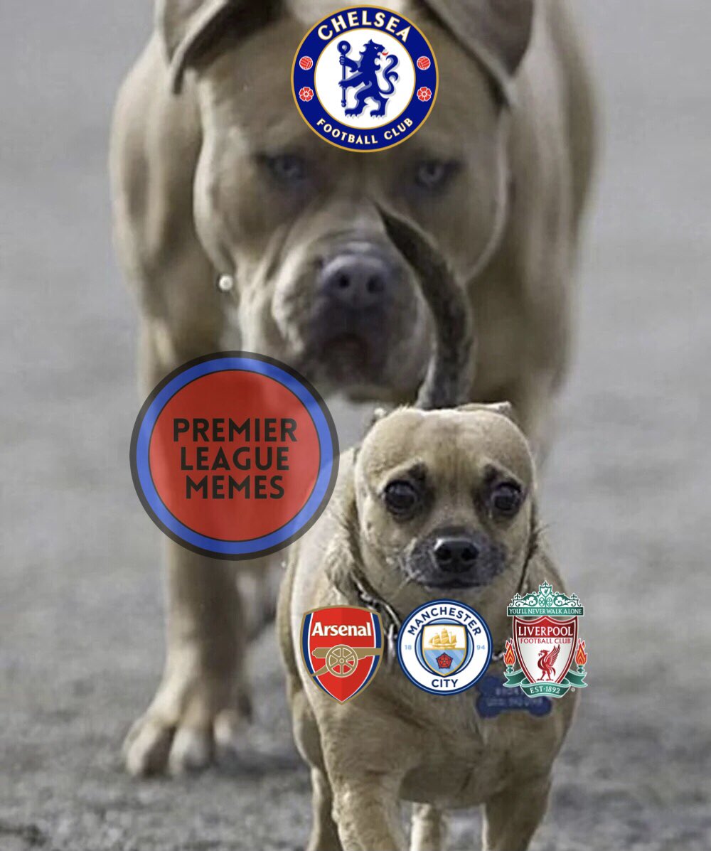 Premier League Memes (@JustPLMemes) / Posts / X, image size:1000x1197