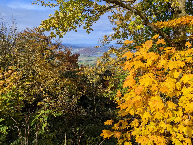 wanderspuren (@wanderspuren) on Twitter photo Neues bei <a href="/wanderspuren/">wanderspuren</a> - der Herbst ist die schönste Zeit zum Wandern, finden wir zumindest, und versuchen jeden Herbst eine Wanderung zu planen. Im letzten Jahr ging es auf den #Goldsteig im #BayerischenWald. Ein Herbsttraum in Gold... wanderspuren.de/herbstwanderun… Neues bei <a href="/wanderspuren/">wanderspuren</a> - der Herbst ist die schönste Zeit zum Wandern, finden wir zumindest, und versuchen jeden Herbst eine Wanderung zu planen. Im letzten Jahr ging es auf den #Goldsteig im #BayerischenWald. Ein Herbsttraum in Gold... wanderspuren.de/herbstwanderun…
