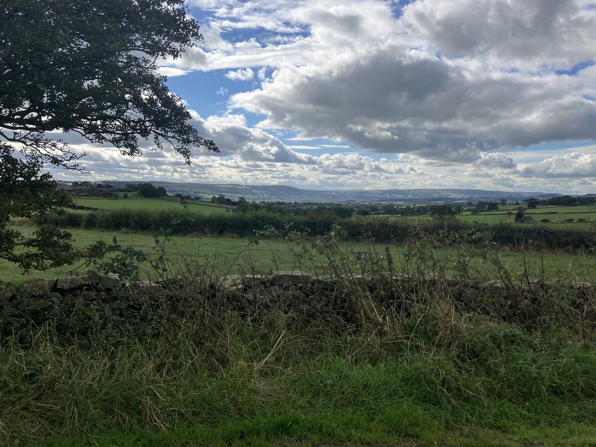 Making the most of a beautiful autumnal day in sunny Yorkshire with 50km for <a href="/R4R2024/">#RaceforRecipients</a> <a href="/MidYorkshireNHS/">Mid Yorkshire Teaching NHS Trust</a> <a href="/MidOrgan/">Mid Yorkshire Organ Donation</a> It only takes 2 minutes to register your wishes on #organdonorregister #organdonationweek