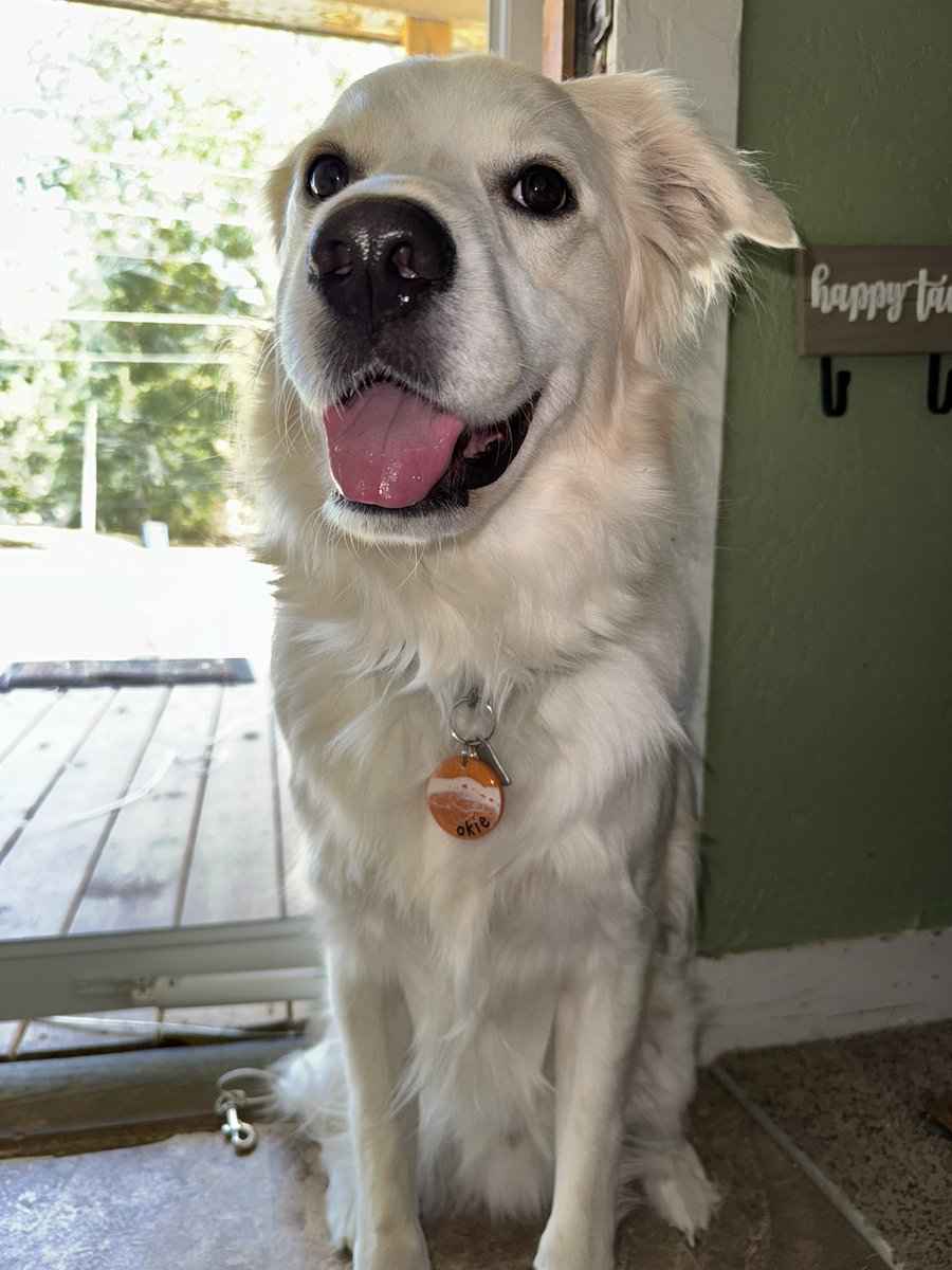 Jenna🪞 tweet media