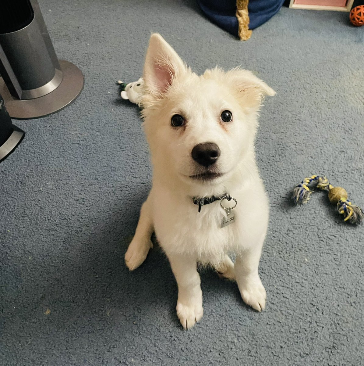 Jenna🪞 tweet media