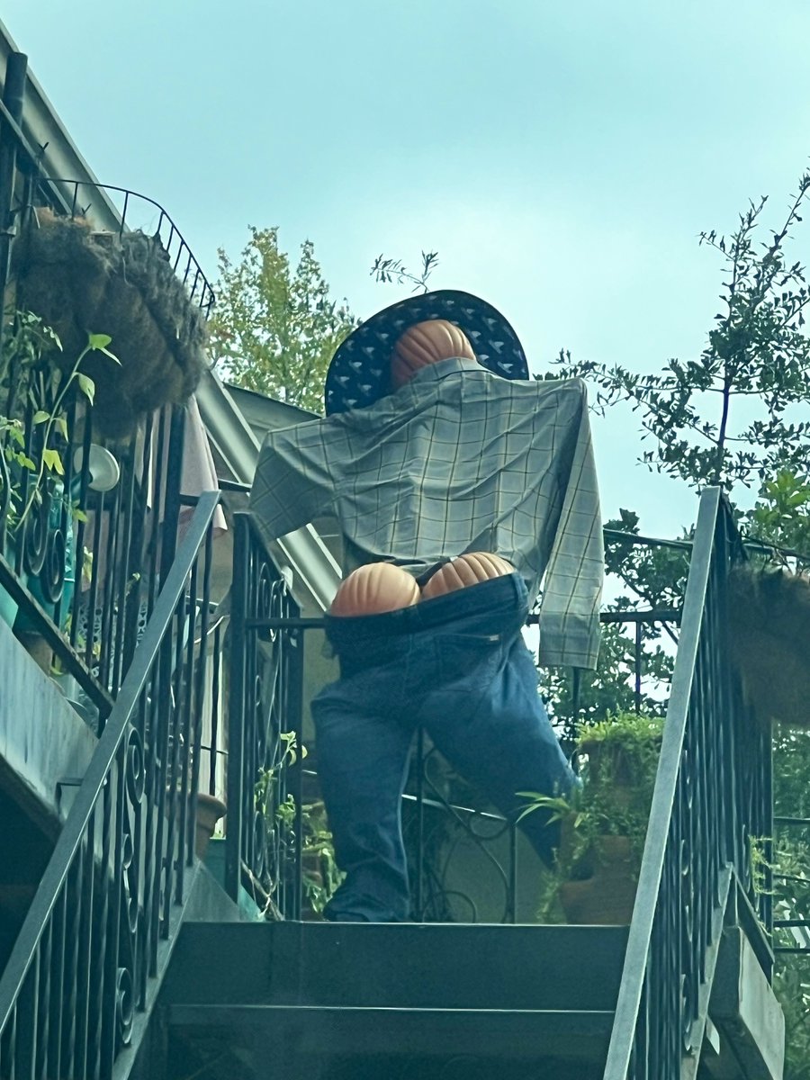 Saw my first BBL scarecrow today