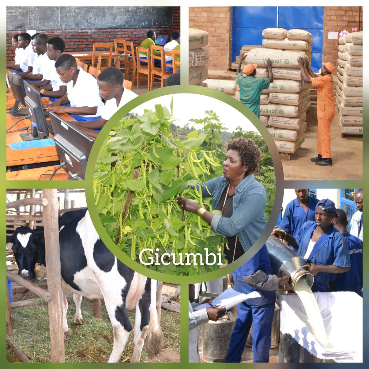 EricGeorgehare's tweet photo. @GicumbiDistrict bari mu ngamba. Kubera imiyoborere myiza ya Leta y'u Rwanda irangajwe imbere na HE @PaulKagame hari byinshi bagezeho  ndetse bakomeje kugeraho mu nguni zose. @KARANGWASewase @DrMumbogoSV @tzDiscovery @HarelimanaAK @gahundemaurice @JCMusabyimana @Muzeturwubake https://t.co/I13n5AGxkG
