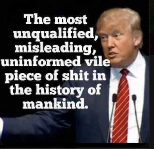 PlowOn's tweet photo. @donkoclock @ClassAwitch @2AirportKitties @BrattinVincent @shell_loyd @Maggy1154 @chaserbaybe @thegreatgig8 @jamkat314 @TammysBlueVoice @dailina1974 @gas_patient @carolAF134 @spookiecats @cruztler @amywe26 @FluentVulgarian @shc902 @TheresaT45195 @JRMcK913 @GreenGoddess998 Donk,
GM.
Liked, followed all, and retweeted.
With 38 days left, we need to remind all voters that they can't afford to sit this one out.
Democracy, womenโs health rights, civil rights, and our environment are all on the line.
VOTE, VOTE, VOTE!
#NotGoingBack
#CanNotGoBack
VOTE https://t.co/jLD6oWeR4L