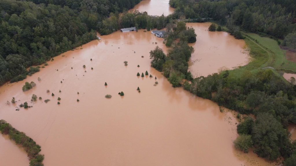 Brooke Pryor tweet media