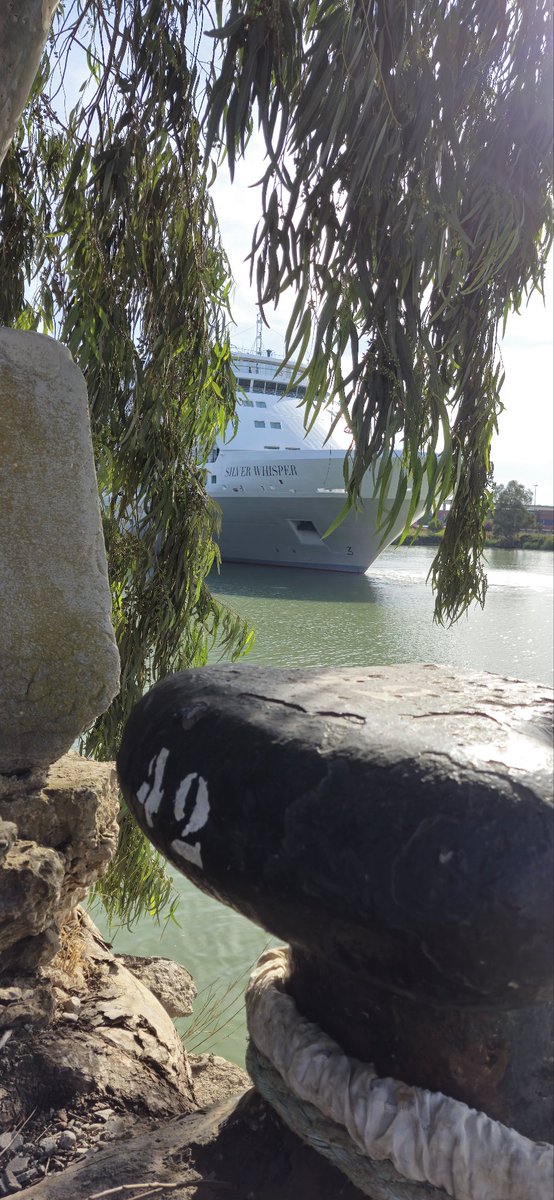 Policiaportsevi's tweet image. Primer sábado de otoño despidiendo su corta estancia a #silverwhisper.
@Policiaportsevi 24/7 en el @PuertoDeSevilla