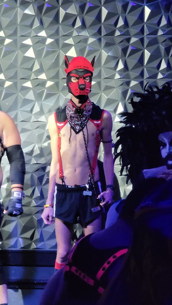 RavePuppyApollo's tweet photo. Probably thinking about musky pits… or chilis… or both… 🤭 https://t.co/DMpgIBles0
