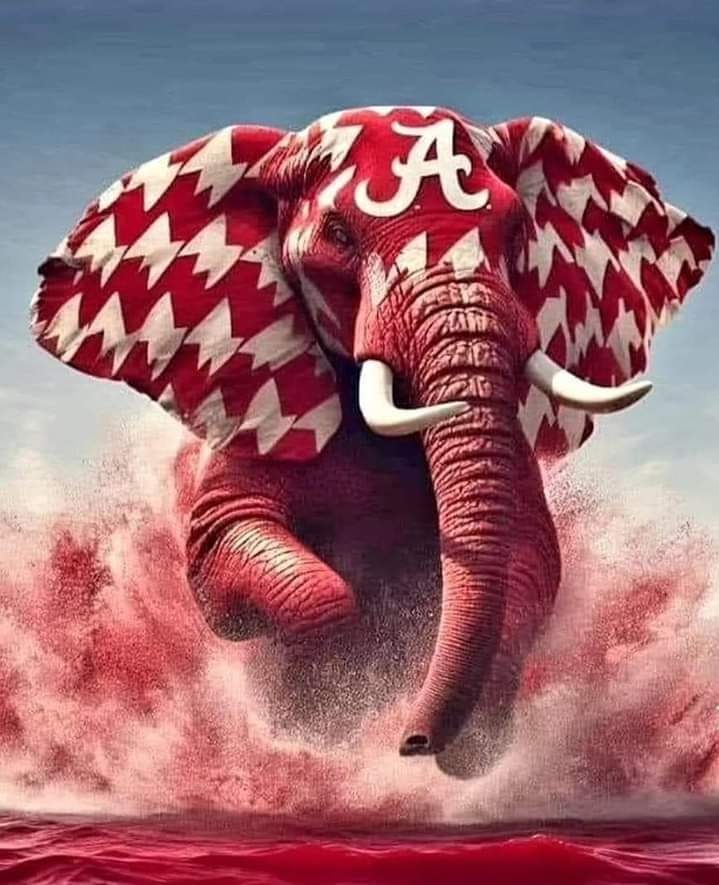 DocLock68's tweet image. It's Game Day