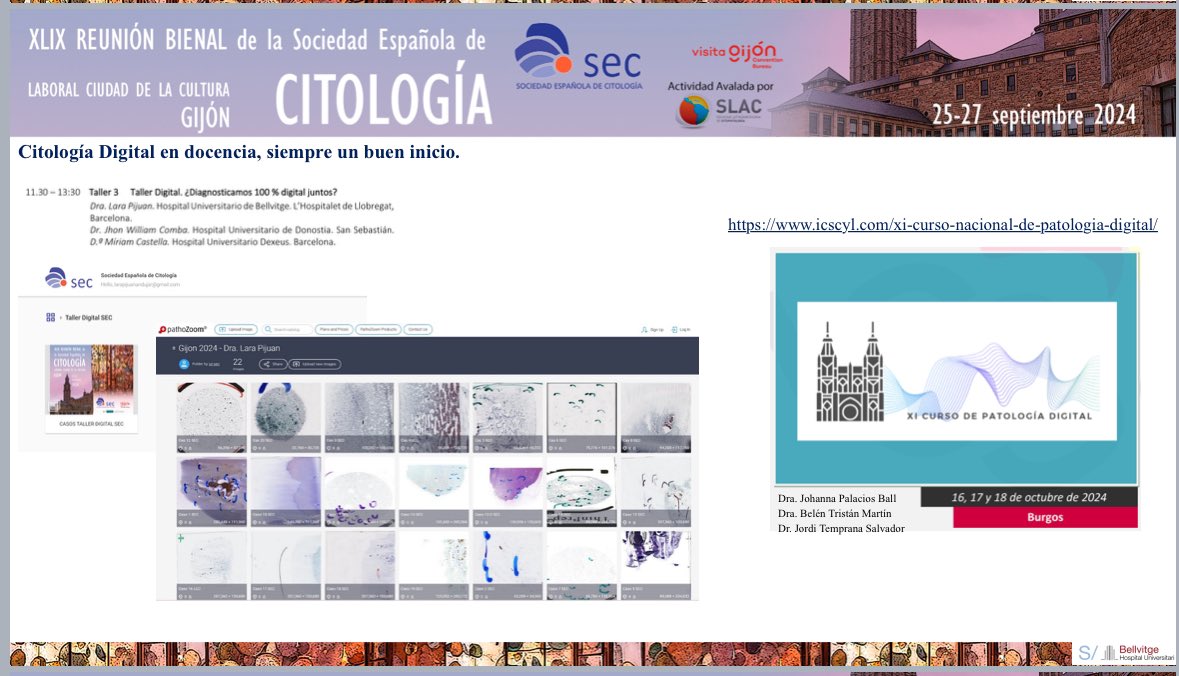 Sociedad Española de Citología tweet media