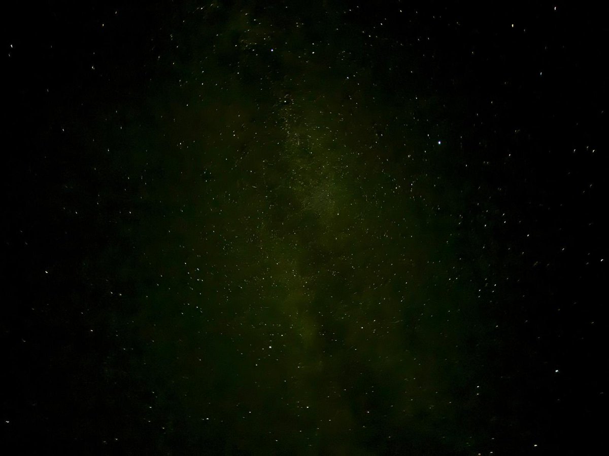 Rivka Lim tweet media