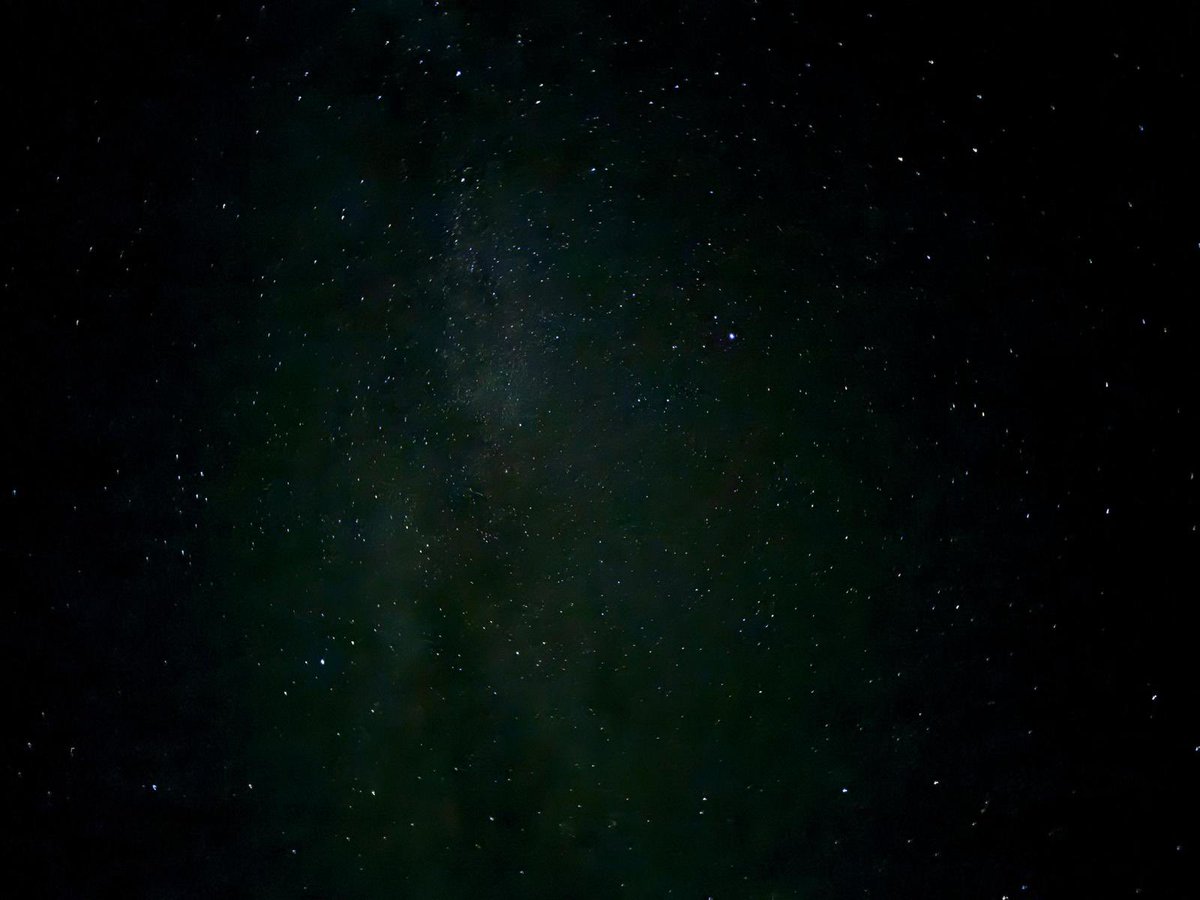 Rivka Lim tweet media