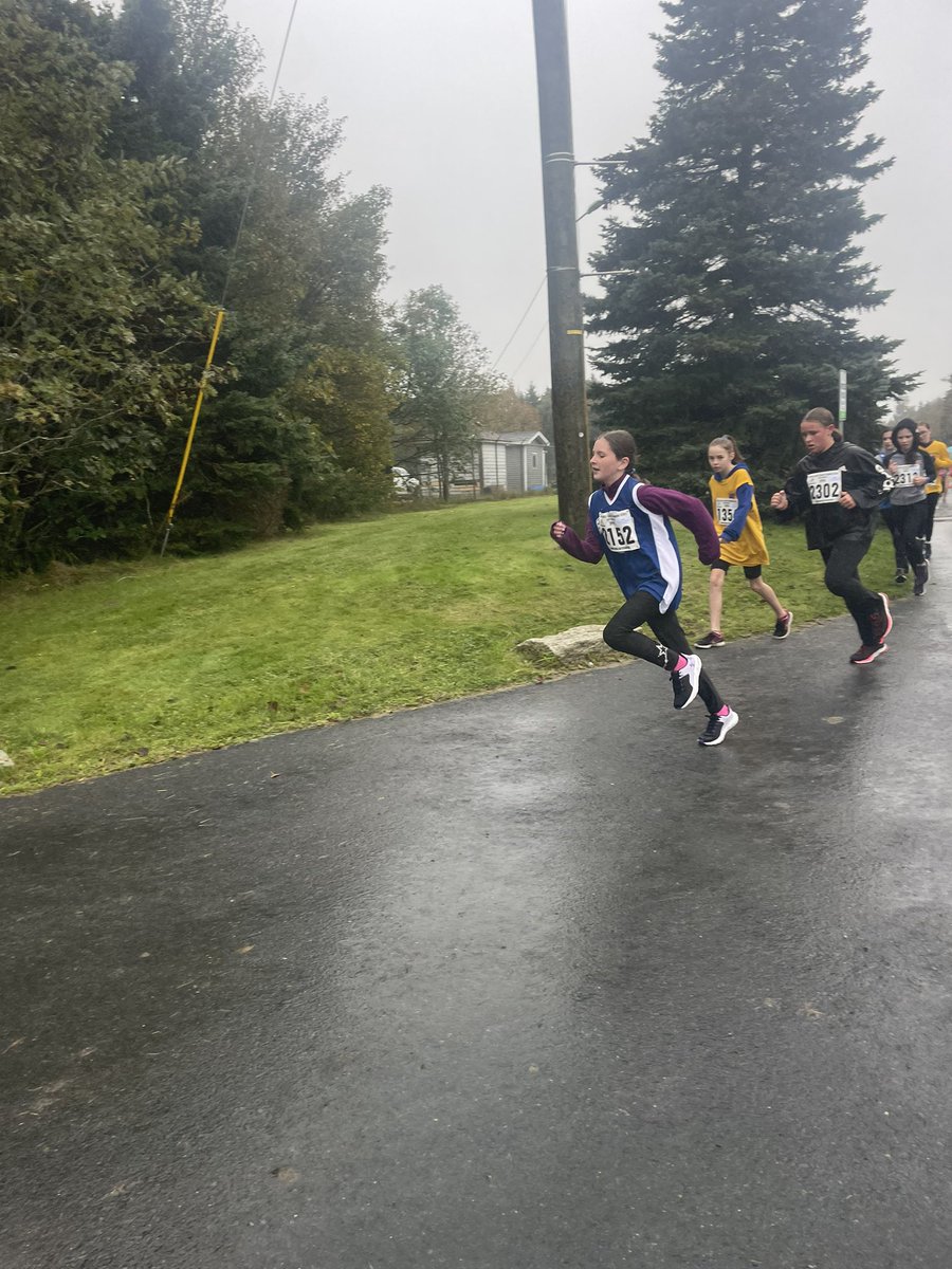 T. Reardon tweet media