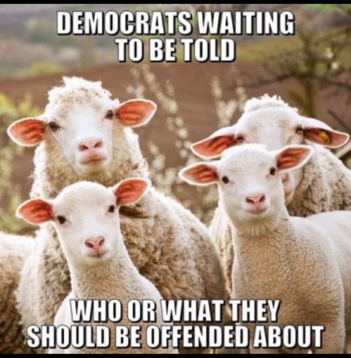 david01979855's tweet photo. @ChadCox70243358 @MMDS1977 @piper4missouri https://t.co/pBfPK2l7ln