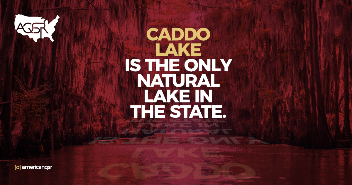 americanqsr's tweet photo. Cado Lake is the only natural lake in the state of Texas
.
.
.
#americanqsr #aqsr #popeyes #americanqsr #qsr #popeyes #american #aqsr #americanquickservicerestaurants #quickservicerestaurants
#popeyeslouisianakitchen #popeyeskitchen https://t.co/XfNTRSHaYb