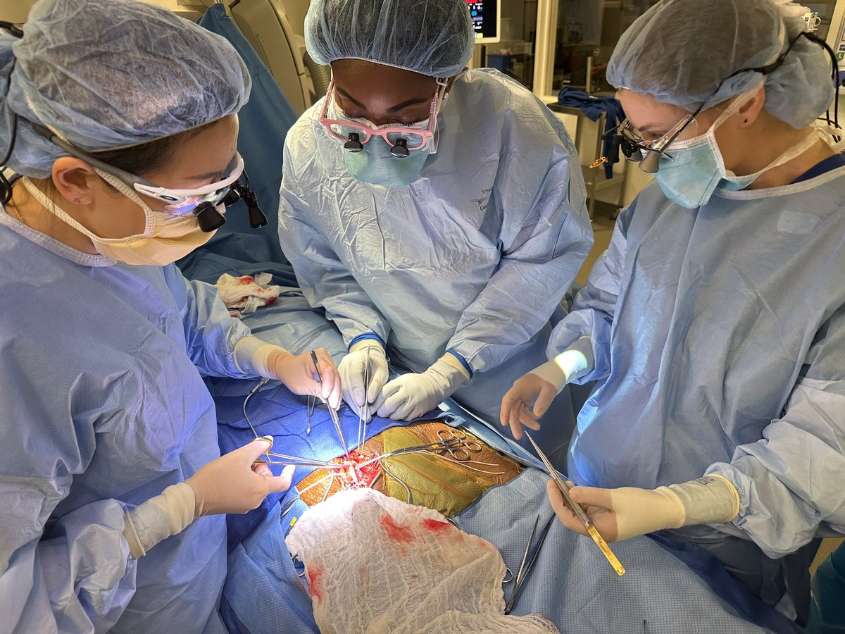 JHH Vascular Surgery (@jhhvascular) on Twitter photo Just a casual CFA endarterectomy with an all women crew: our PGY3 general surgery resident Dr. Stewart and our first year fellows Dr. Gerling and Dr <a href="/WenKawaji/">Wen Kawaji, MD, MS</a> Thanks for the great angles Dr. Lum <a href="/YWLum/">Ying-Wei Lum</a> !
<a href="/hopkinssurgery/">Hopkins Surgery</a> #vascularladies #SeeoneDooneTeachone #surgEd Just a casual CFA endarterectomy with an all women crew: our PGY3 general surgery resident Dr. Stewart and our first year fellows Dr. Gerling and Dr <a href="/WenKawaji/">Wen Kawaji, MD, MS</a> Thanks for the great angles Dr. Lum <a href="/YWLum/">Ying-Wei Lum</a> !
<a href="/hopkinssurgery/">Hopkins Surgery</a> #vascularladies #SeeoneDooneTeachone #surgEd