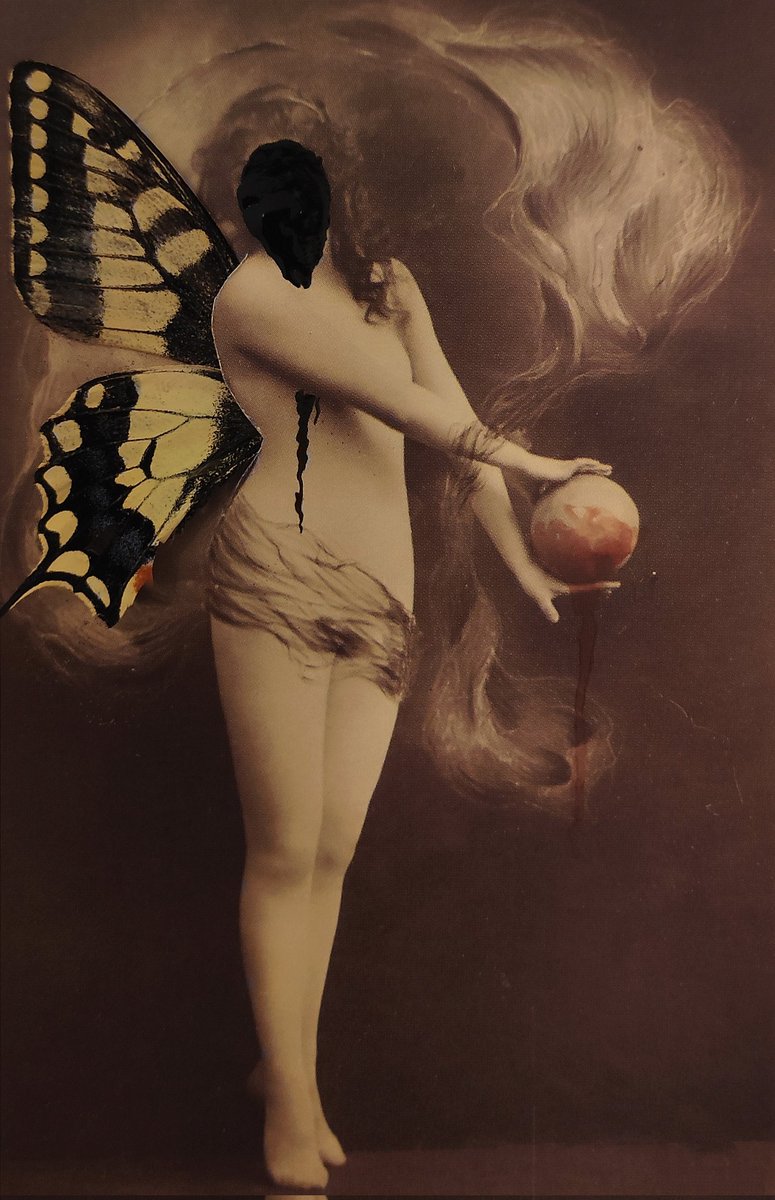 Nico Mingozzi (@nico_mingozzi) on Twitter photo 