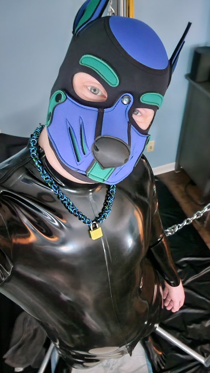PupXems's tweet photo. https://t.co/RALu6VpnkC