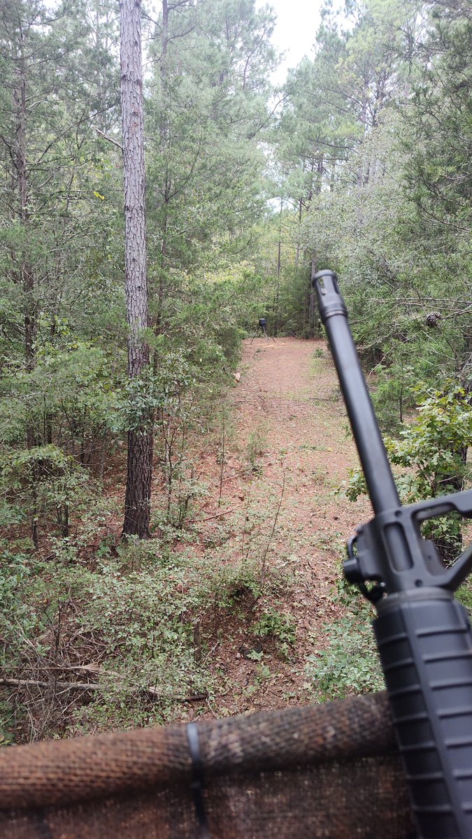 TimYoder17's tweet image. Hog hunting.