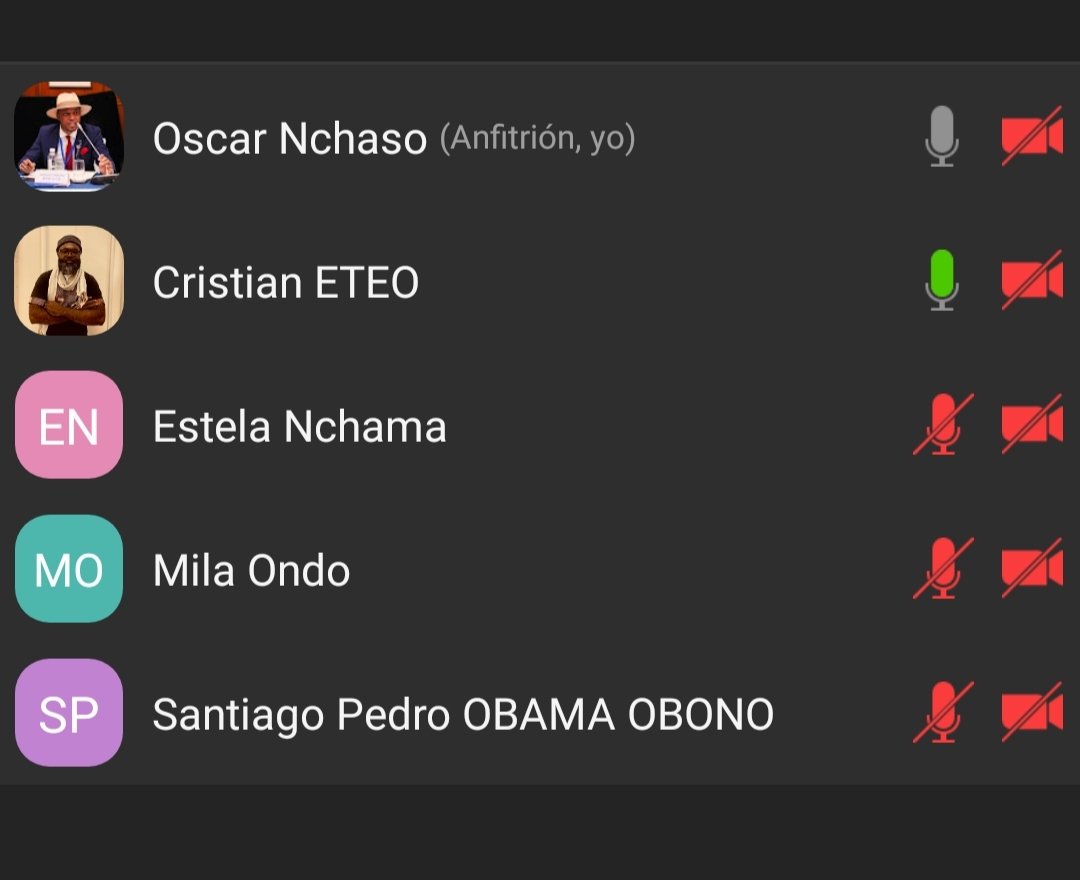 Ayer, convocados por el Presidente de la red YALI Guinea Ecuatorial 🇬🇶 @NchasoOscar tuvimos un fructífero encuentro (presencial y virtual) de planificación estratégica  desde la sede de <a href="/Locosporcultura/">Locos por Cultura</a> donde además dimos la bienvenida a los nuevos fellows del <a href="/WashFellowship/">MandelaWshFellowship</a>