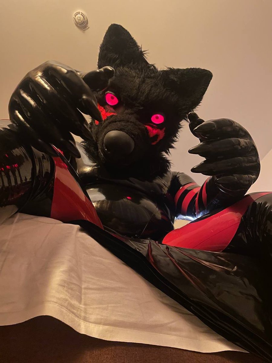 Dumb Dog Mastix tweet media