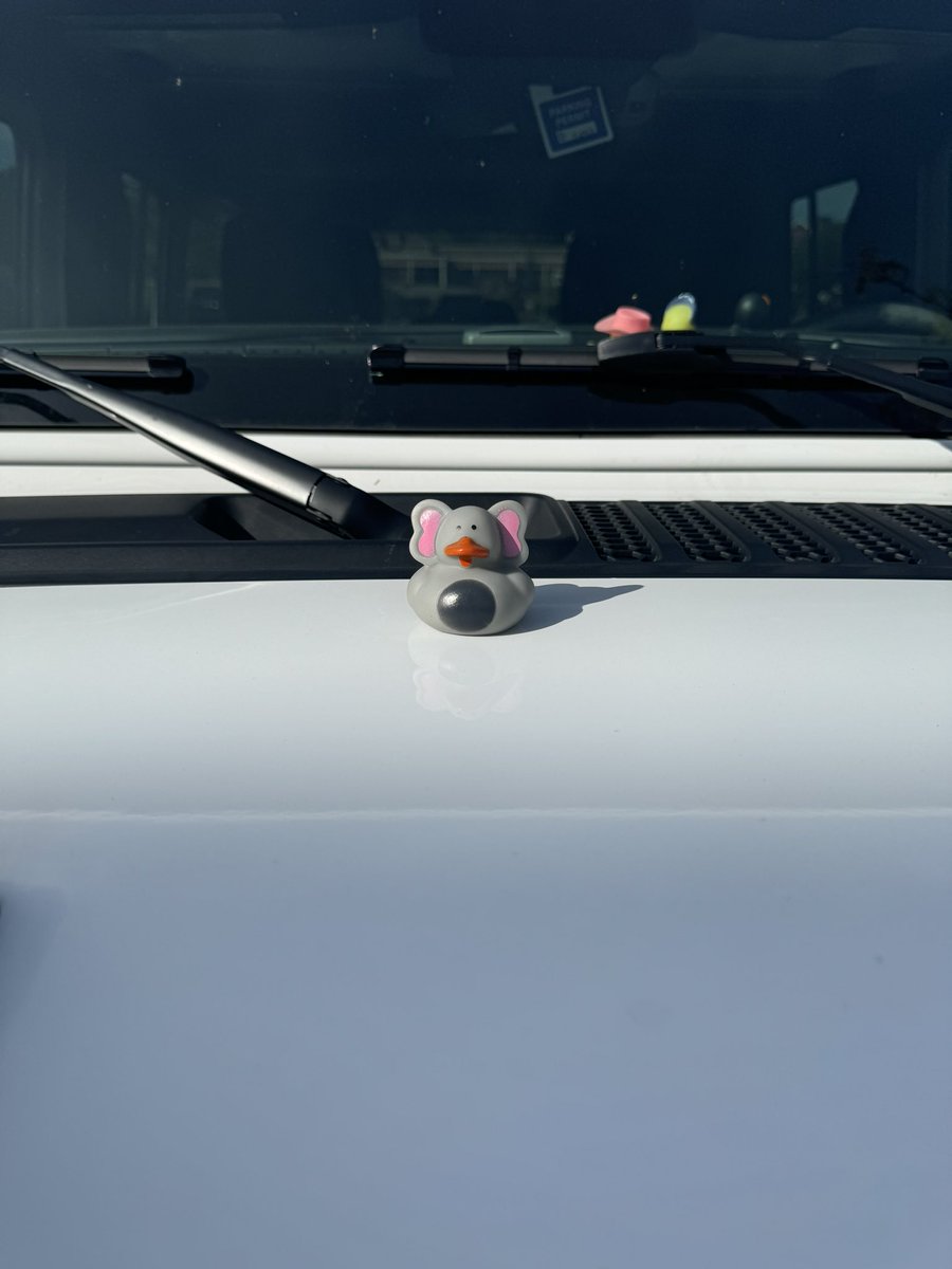 KittyTigerMeow's tweet image. Double ducked today! 

#jeep  #itsajeepthing #ducked
