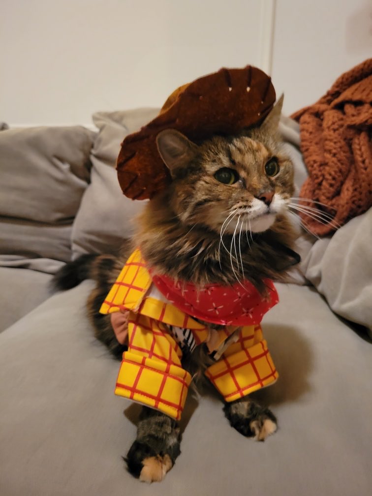 Tony Todd tweet media