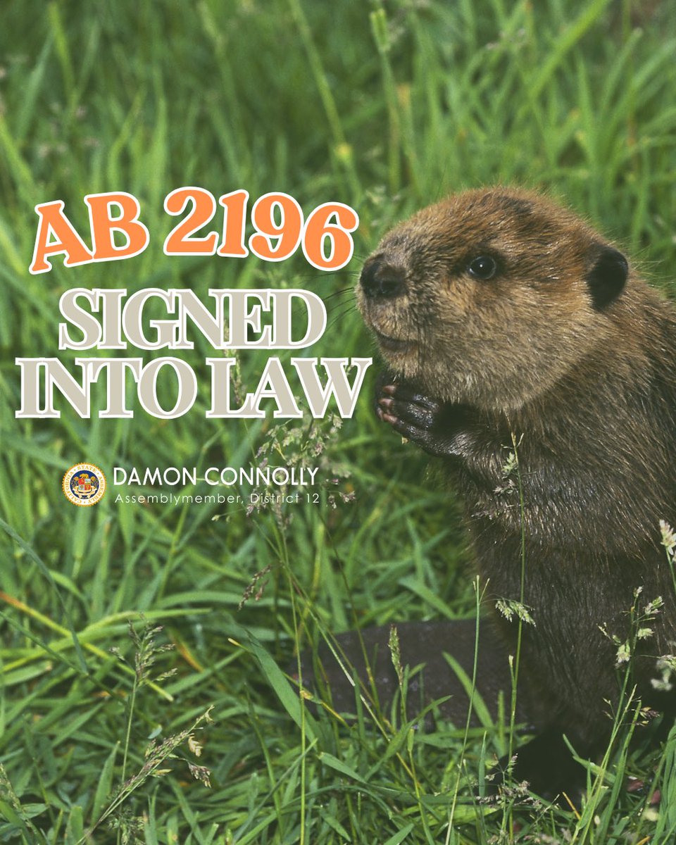 Assemblymember Damon Connolly tweet media