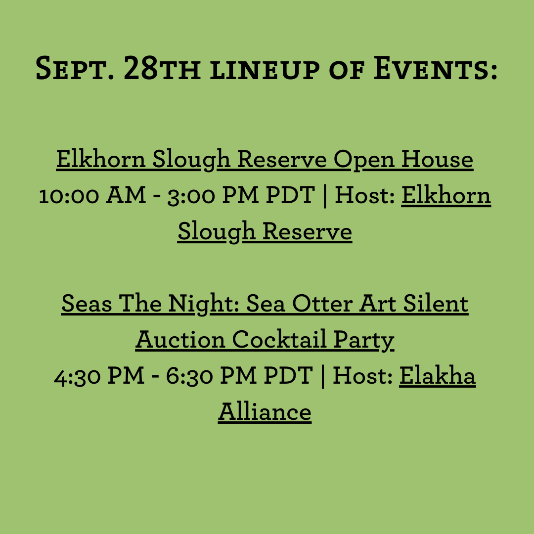 TheOtterProject's tweet photo. Last lineup of events for Sea Otter Awareness Week! Visit https://t.co/OjlbSU5i8T to view auction items online! #SeaOtterAwarenessWeek2024 https://t.co/1R8bF6yYZP
