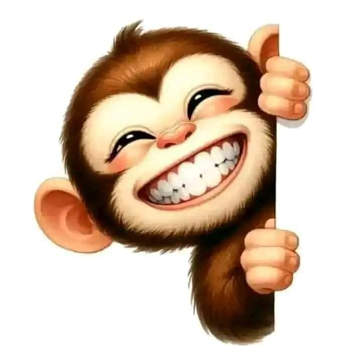 Adam khan ادم خان 🌸💚 tweet media