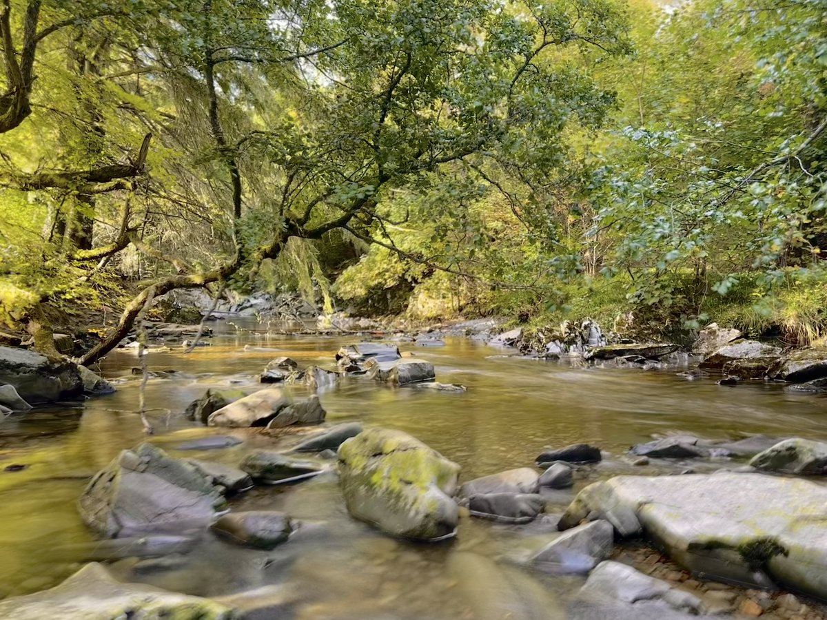 mjgardner73's tweet photo. What a great walk up through the #FallsofBruar. Stunning part of the country. #Bruar 
@BBCScotWeather @WindyWilson88 @ThePhotoHour @Scotland https://t.co/Iey5UFE8NA
