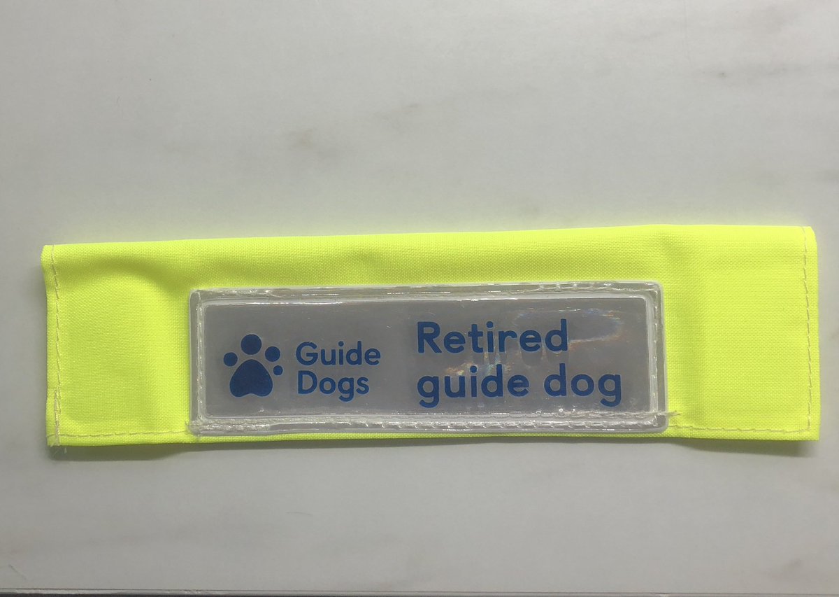 Ollie (R) and Carlo My Guide Dog tweet media