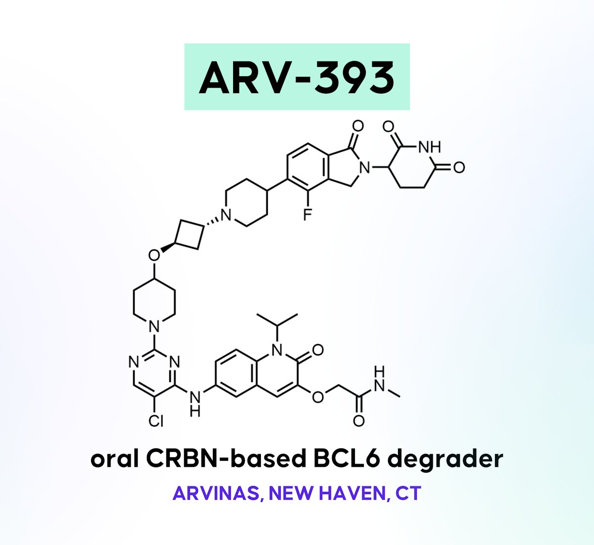 Check out the key SAR observations that led to the invention of this orally bioavailable PROTAC, its performance in a triple-hit, high-grade BCL and R-CHOP-resistant cell line, why sustaining BCL6 knockdown beyond 24 h was critical, and more.

Article: drughunters.com/3Blc1eJ