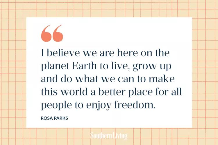 YvonneMcquarrie's tweet image. &quot;I believe we are here on the planet Earth to live, grow up and do what we can to make this world a better place for all people to enjoy freedom.&quot; — Rosa Parks 
#MakeTheWorldBetter #LiveAndGrow