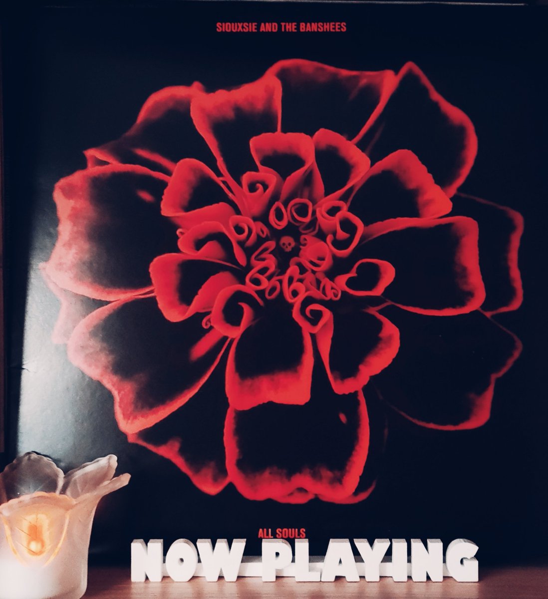 michelle jacques tweet media